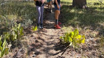 Students featured in front of trees