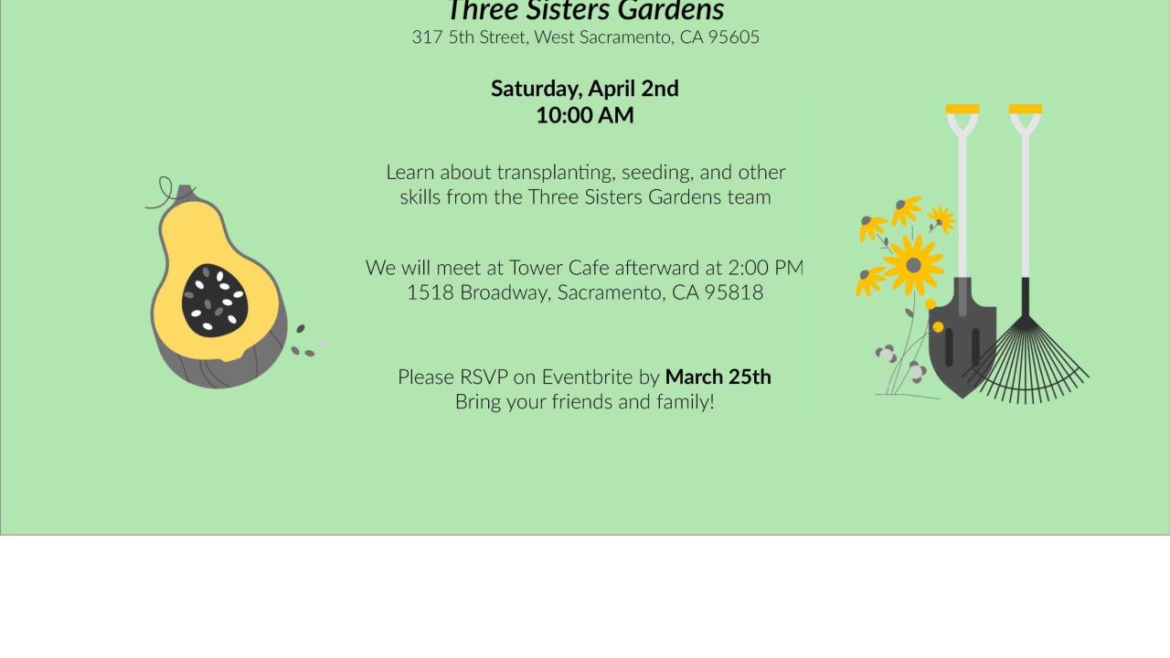 Three Sisters Garden day