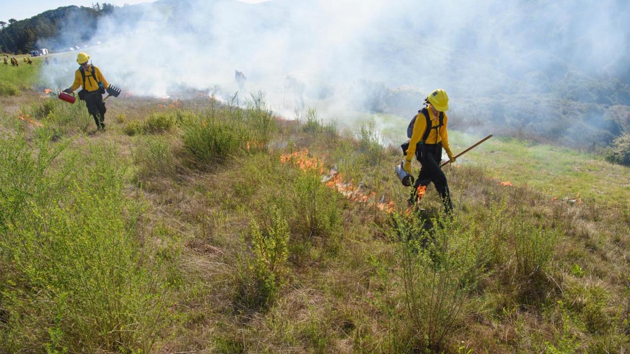 Natalie Chapman on a prescribed burn