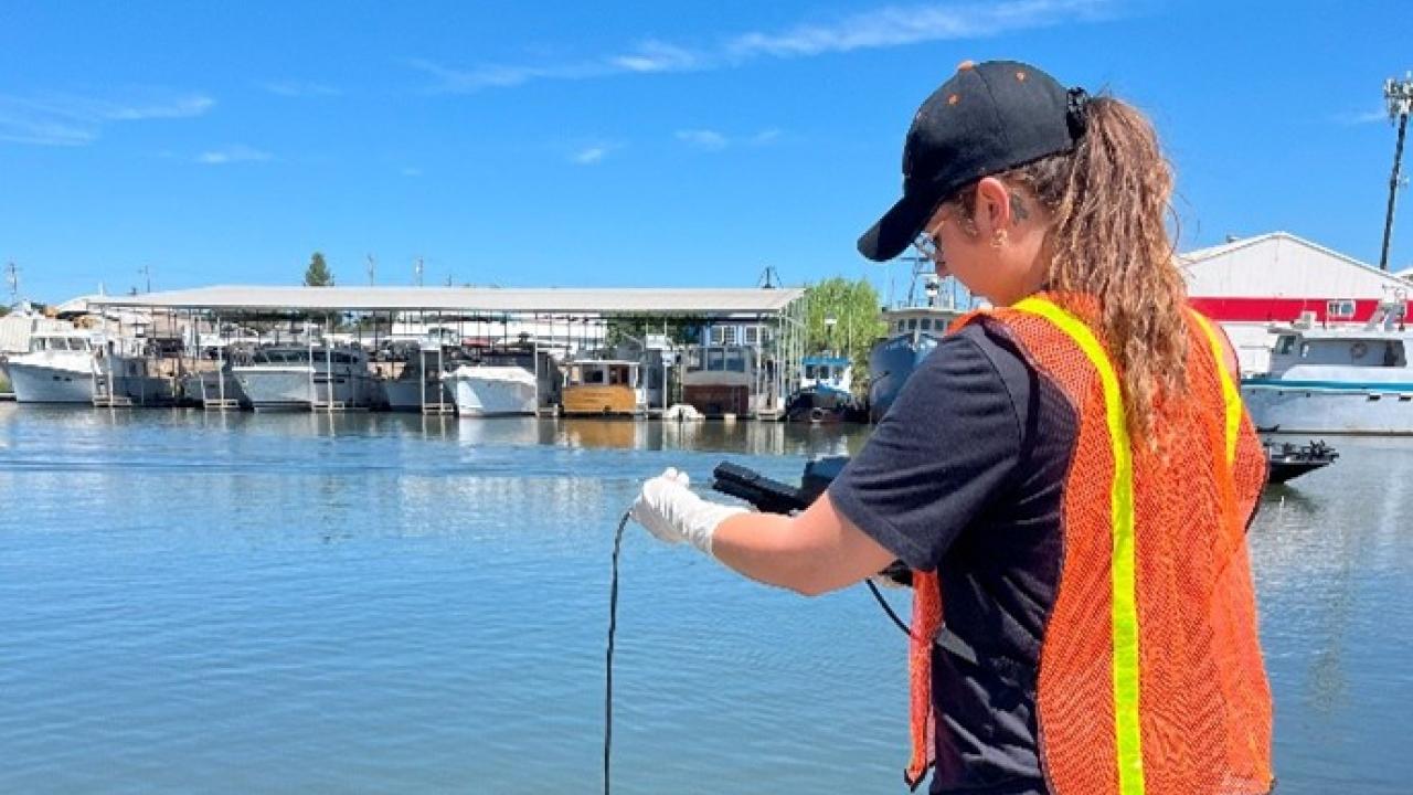 Morgen Snyder collecting samples.
