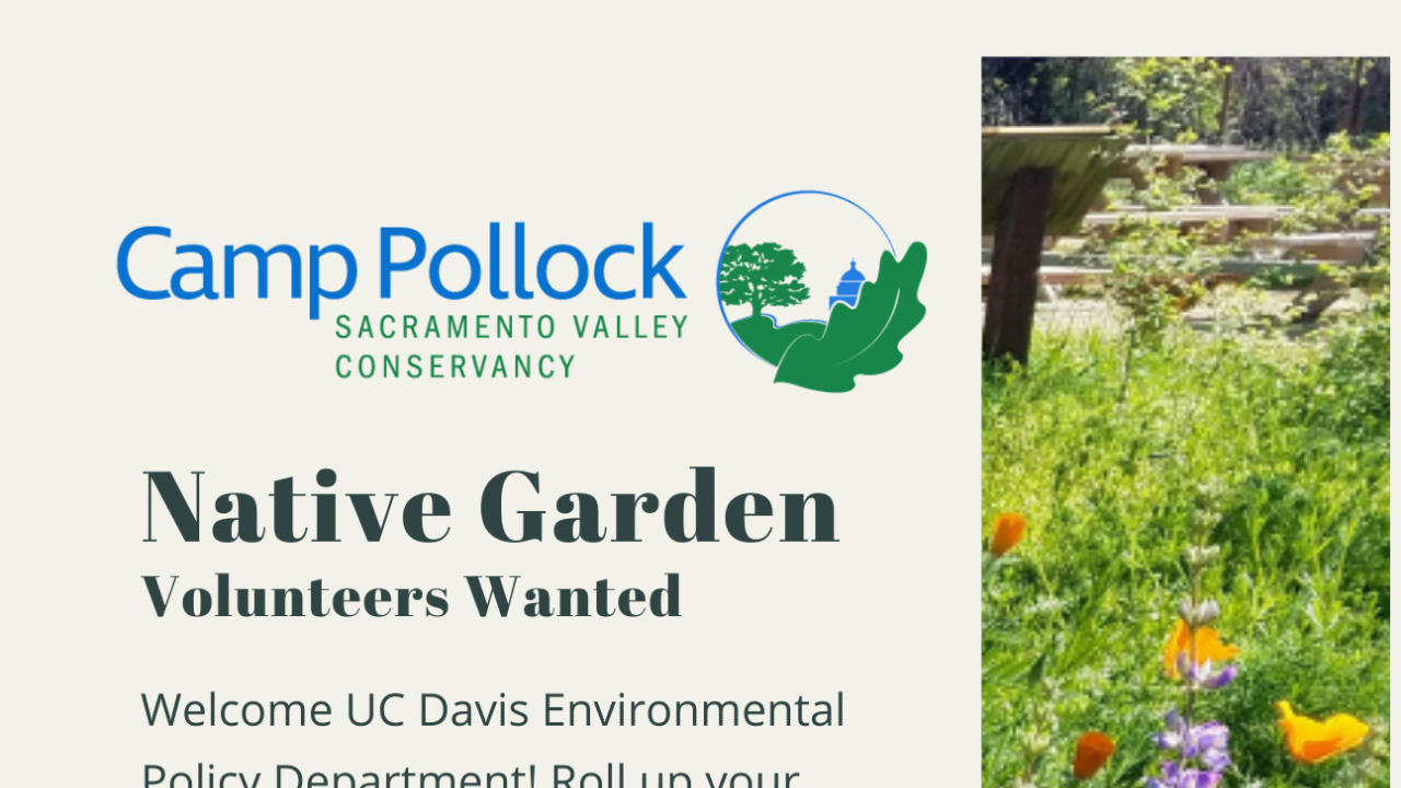Camp Pollock volunteer day