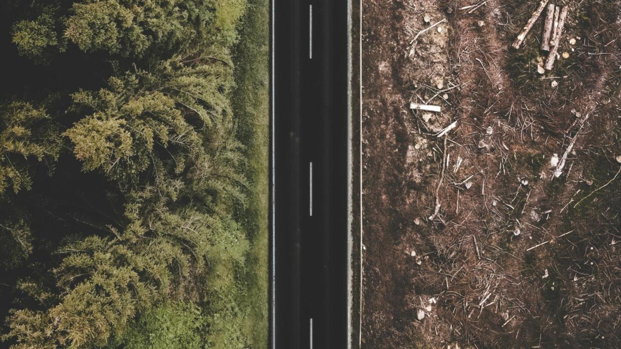 Photo by Justus Menke on Unsplash