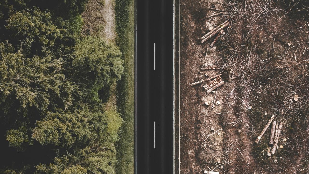 Photo by Justus Menke on Unsplash