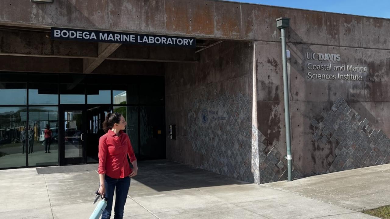 Natalie Chapman at Bodega Marine Lab
