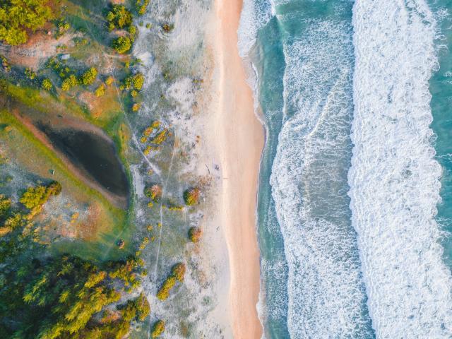 Photo by Hermansyah on Unsplash
