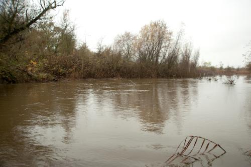 Floodplain Consumnes River Preserve Delta