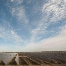 Photo of a solar farm with blue sky filled with clouds.