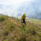 Natalie Chapman on a prescribed burn