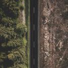 Photo by Justus Menke on Unsplash