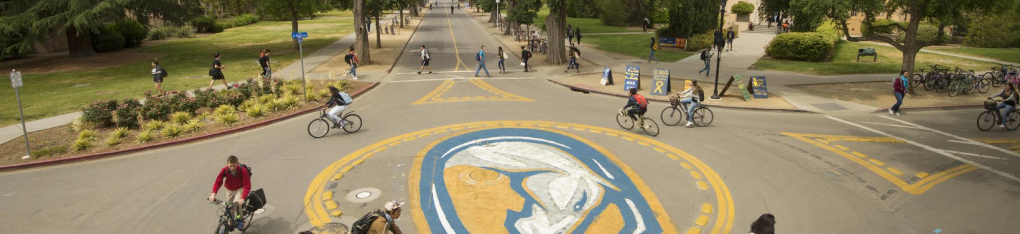 Copyright UC Regents. Photo by Karen Higgins